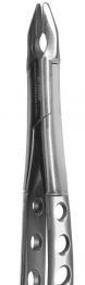 A.Titan - Extraction Forcep, Upper Molar, 1100 Pattern