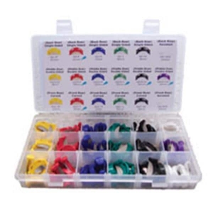 QS-ASST, Creative Dental Concepts, LLC