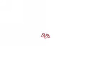 Dynamic Mixer Red Mixing Tips 50/pk. - MARK3*