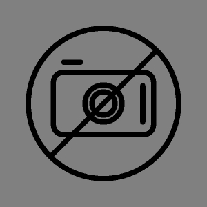 FLEXIBLE PANORAMIC FILM CASSET