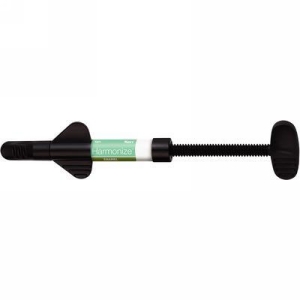 Harmonize Syringe Enamel C2 4gm