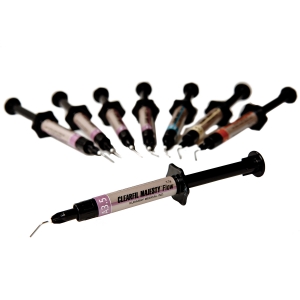 CLEARFIL Majesty ES-2 Classic Syringe D2 Ea