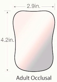 PHOTO MIRROR ADULT OCCLUSAL 2.
