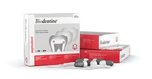SEPTODONT BIODENTINE REPLACEMENT MATERIAL, 01-C0600