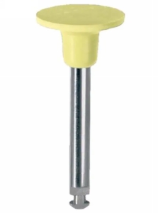 WDT-RP230086RA