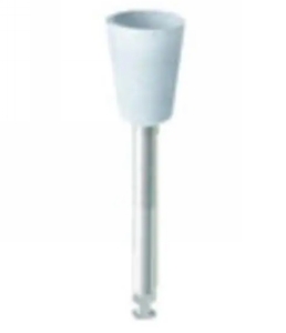 WDT-RP230211RA