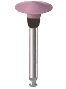 WDT-RP230339RA