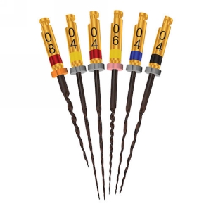 HyFlex CM File 21 mm Assorted, Large, SBH821LRG, 6/Pkg Sterile