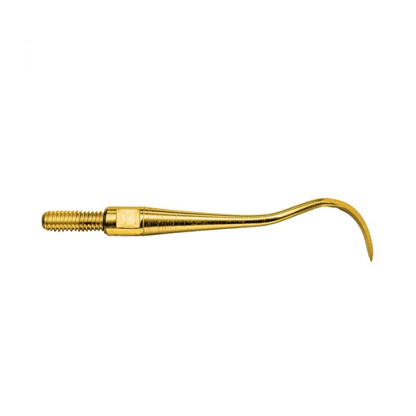 Scaler Blackjack B XP Quik Tip