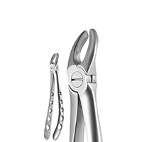 Upper Molar, Left, 1700