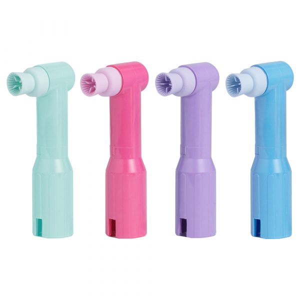 Denticolors, 502814
