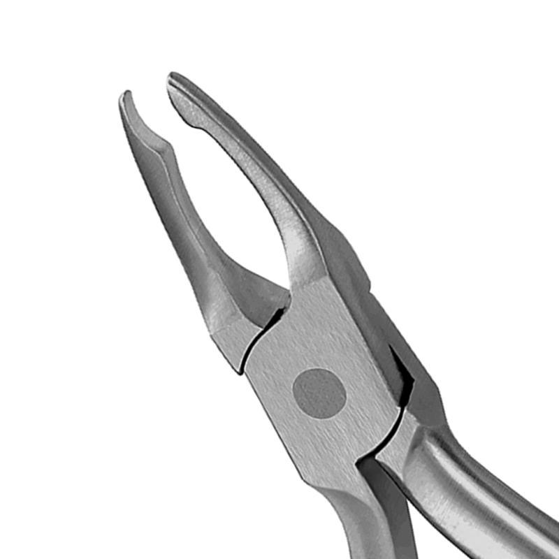 Plier Crown & Band Wide Contour