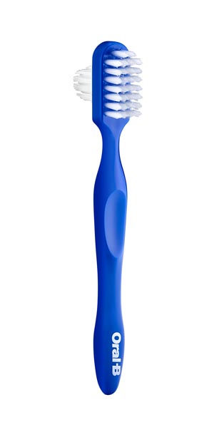 Oral-B Denture Brush 6Bx
