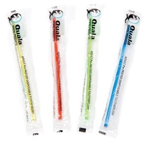 Quala Pre-Pasted Disposable Adult Toothbrushes 144Cs