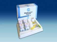 Shofu GlasIonomer Type II Cement Restorative