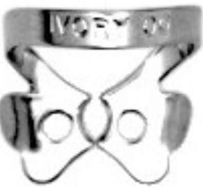 WDT-H02769