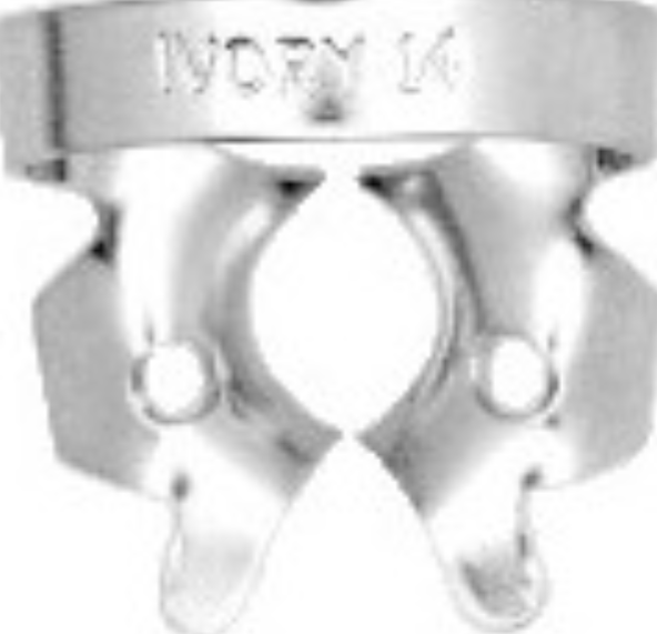 WDT-H02774
