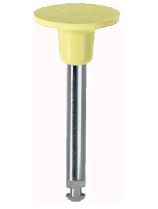 WDT-RP230069RA