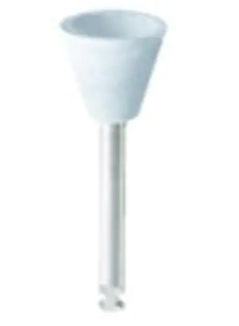 WDT-RP230215RA