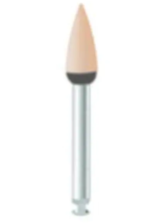 WDT-RP230391RA